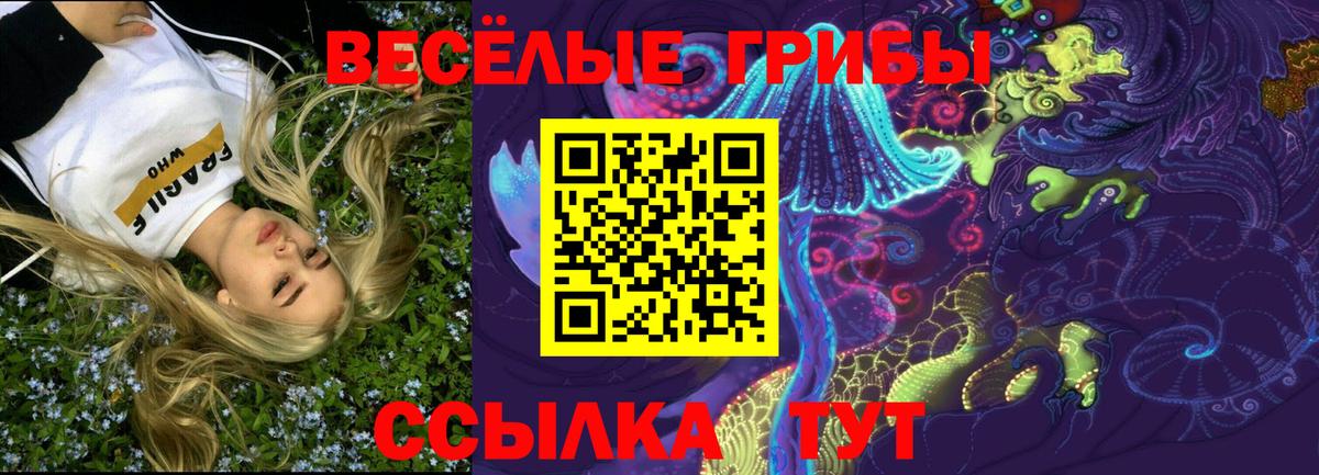 Галлюциногенные грибы Magic Shrooms Ялта